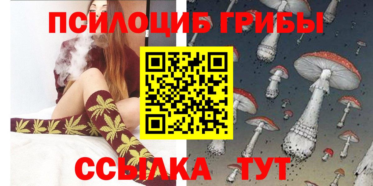 Свободный  Галлюциногенные грибы Cubensis  Вход с VPN 